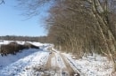 forêt de Montpensier, GR 463